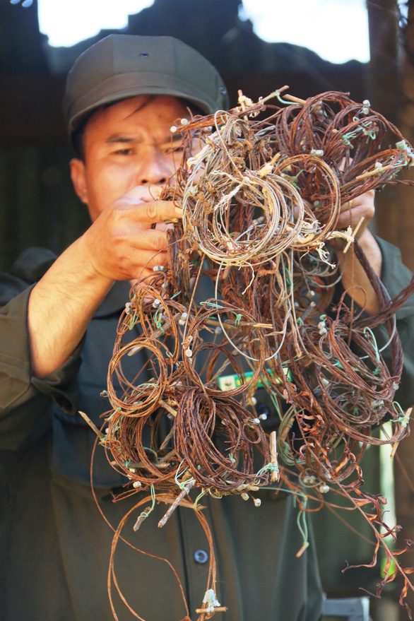 Bảo vệ sao la - linh hồn Trường Sơn đang tuyệt chủng - Ảnh 2.