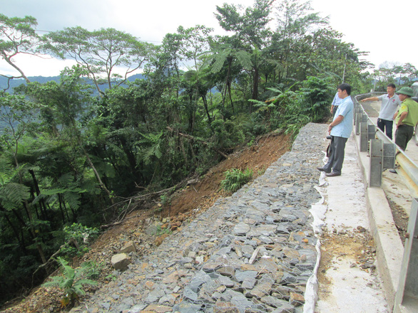Trồng lại diện tích rừng bị mất do sụt lở đất ở Phong Nha - Kẻ Bàng - Ảnh 1.