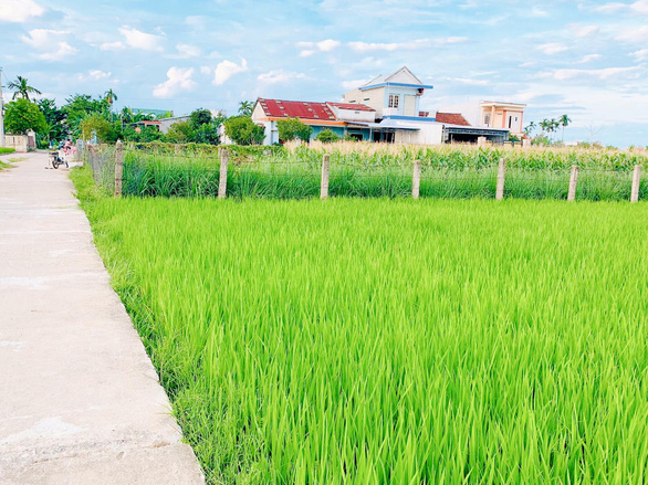 Cuộc thi Nhà tôi - Mái ấm: Bình yên nơi trở về... - Ảnh 1.