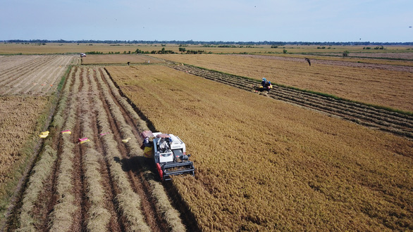 Đến năm 2030, giảm gần 350.000ha đất lúa, tăng 120.000ha đất công nghiệp - Ảnh 1.