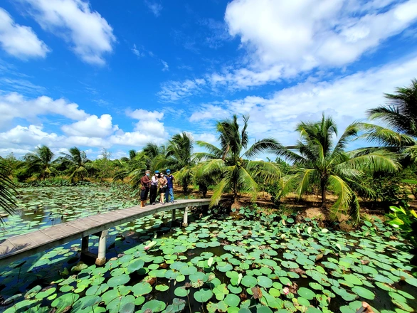 Lữ hành Saigontourist đưa đoàn khách đầu tiên đến Bến Tre - Ảnh 2. Lữ hành Saigontourist đưa đoàn khách đầu tiên đến Bến Tre - Ảnh 2.