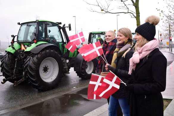 Đan Mạch điều tra vụ án tiêu hủy 15 triệu con chồn hương - Ảnh 1.