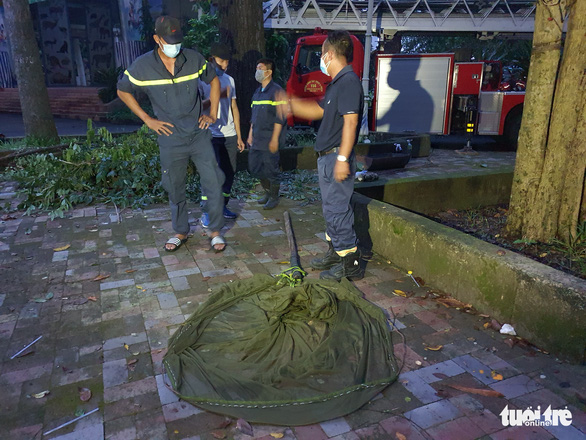 Hàng chục cảnh sát giải quyết tổ ong vò vẽ khổng lồ trong Thảo cầm viên - Ảnh 3.