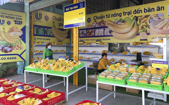 Union Trading đạt doanh thu 1,2 triệu USD xuất khẩu chuối - Ảnh 1. Union Trading đạt doanh thu 1,2 triệu USD xuất khẩu chuối - Ảnh 1.