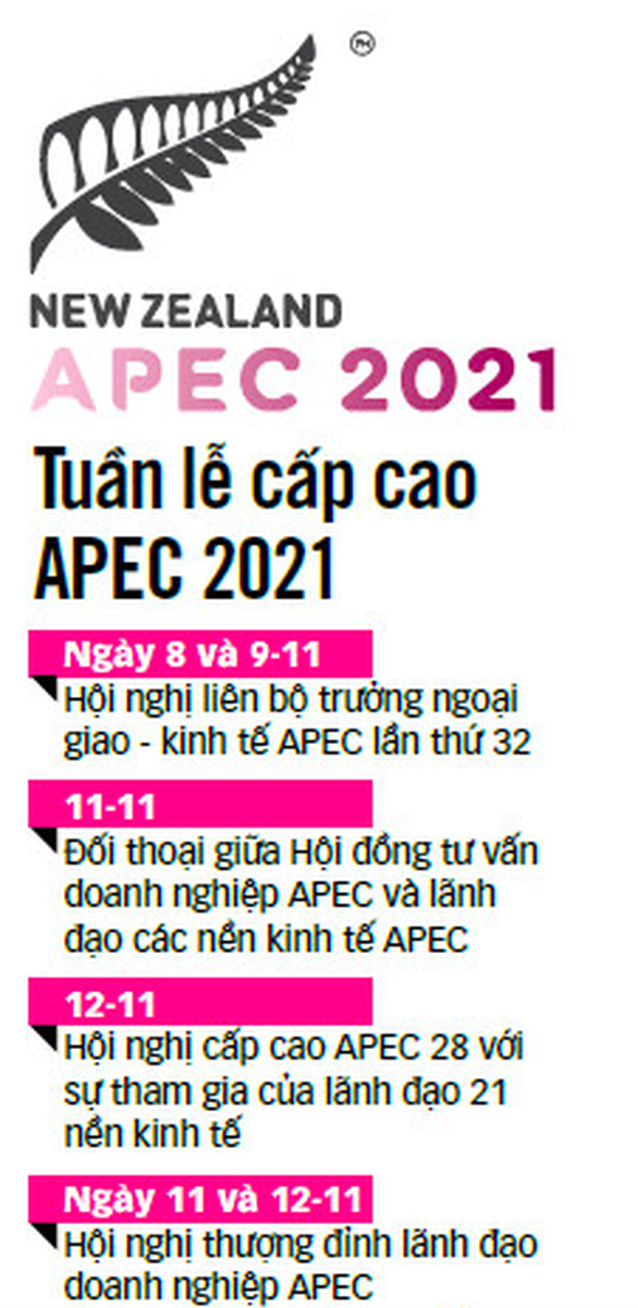 Khai mạc APEC 2021: Hồi sinh các mao mạch nền kinh tế - Ảnh 2.