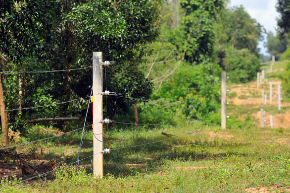 Đồng Nai xây dựng bổ sung 25km hàng rào điện bảo vệ voi rừng - Ảnh 2.