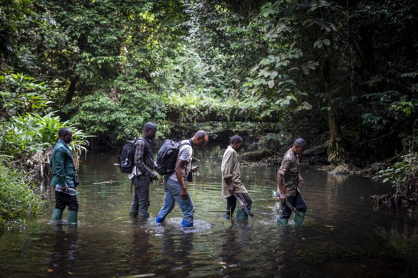 Thợ săn virus - Những người săn lùng hiểm họa - Kỳ 2: Dơi, máu và virus ở rừng Cameroon - Ảnh 1.