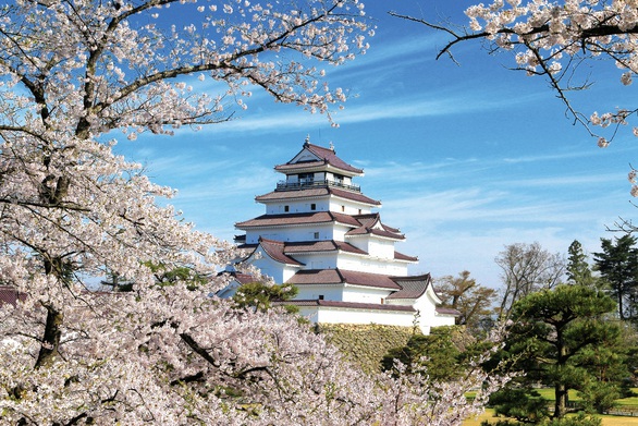 Vẻ đẹp bốn mùa của lâu đài Tsuruga, Fukushima - Ảnh 2. Vẻ đẹp bốn mùa của lâu đài Tsuruga, Fukushima - Ảnh 2.