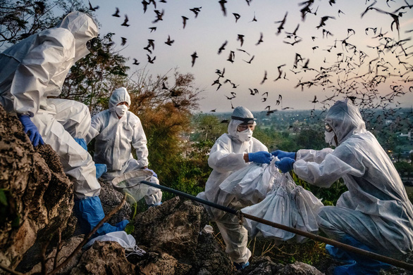 Thợ săn virus - Những người săn lùng hiểm họa - Kỳ cuối: Cuộc chiến trường kỳ với tử thần giấu mặt - Ảnh 1.