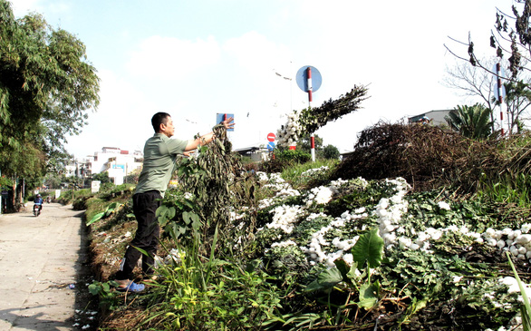 On the 30th of Tet in Hanoi: Peaches and kumquats bloom, but few people buy them, fresh flowers pile up - Photo 8.