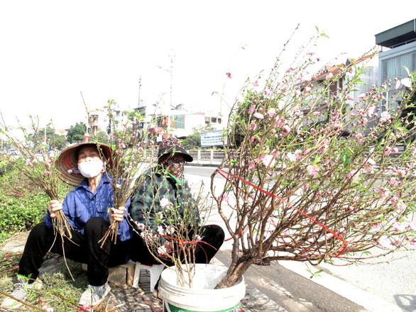 Tet 30 in Hanoi: Peaches and kumquats are in bloom, but few people buy them, fresh flowers are piling up - Photo 4.