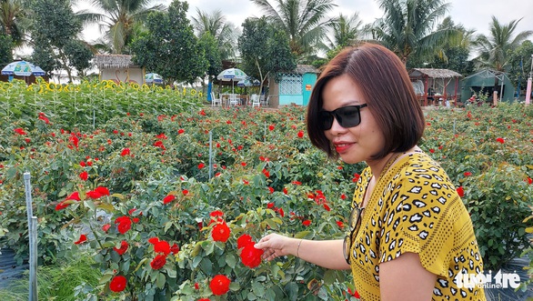 Ồ ạt kéo nhau về đồng hoa Thiên Anh ngày Valentine 14-2 - Ảnh 7. Ồ ạt kéo nhau về đồng hoa Thiên Anh ngày Valentine 14-2 - Ảnh 7.