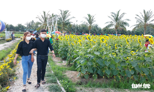 Ồ ạt kéo nhau về đồng hoa Thiên Anh ngày Valentine 14-2 - Ảnh 14. Ồ ạt kéo nhau về đồng hoa Thiên Anh ngày Valentine 14-2 - Ảnh 14.