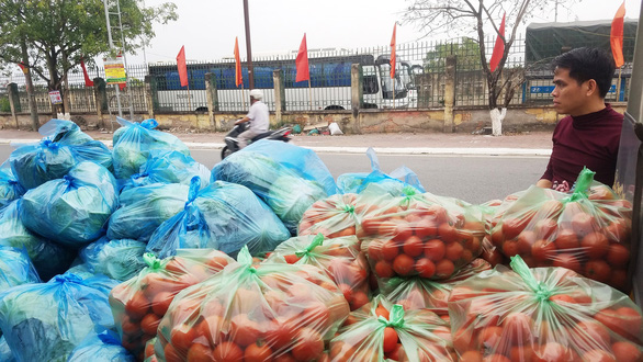 Nhiều nông sản Hải Phòng mong được giải cứu - Ảnh 2.