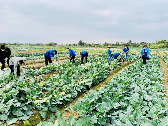 Hải Dương mong Hải Phòng bớt khắt khe để thông thương hàng hóa - Ảnh 4.