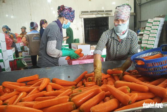 Hải Dương mong Hải Phòng bớt khắt khe để thông thương hàng hóa - Ảnh 3.