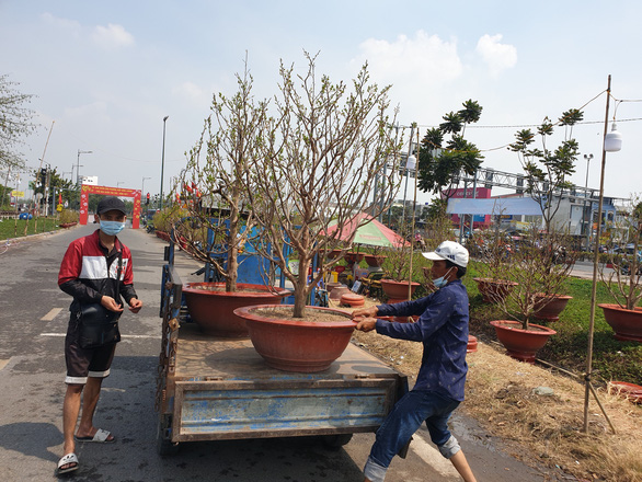 Hoa ế, người bán vẫn tự tin giữ giá, người mua canh me chờ giảm - Ảnh 11.