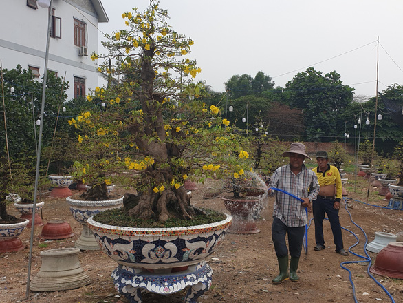 Sức mua chậm còn gặp mưa, người bán hoa trái ở Sài Gòn lo sốt vó - Ảnh 2.