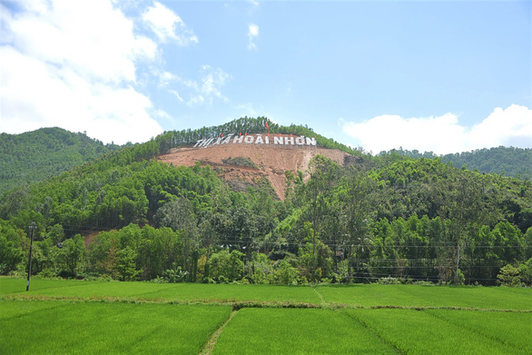 Phá rừng để gắn tên Thị Xã Hoài Nhơn: Sẽ trồng cây, phủ xanh lại rừng - Ảnh 3.