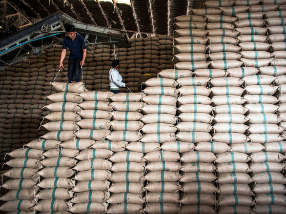 Bangladesh sẽ nhập khẩu 50.000 tấn gạo Việt Nam - Ảnh 1.