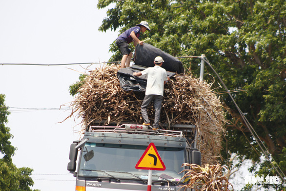 CSGT đã ra quân, xe chở mía cồng kềnh vẫn tung hoành trên quốc lộ 26 - Ảnh 3.