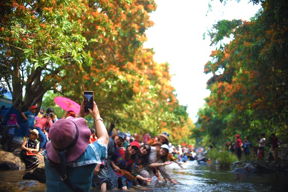 Ta Ma Stream is so colorful, the forest has never been as beautiful as this year - Photo 3.