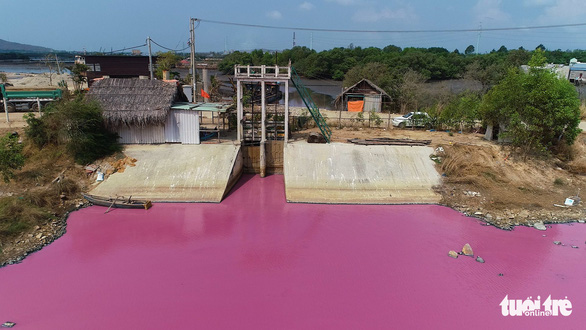 Đầm nước chuyển màu ở Bà Rịa - Vũng Tàu: Phạt, đình chỉ doanh nghiệp xả thải - Ảnh 2.