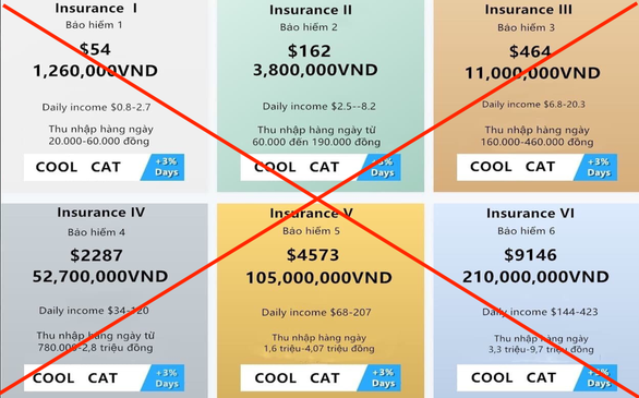Sập app Coolcat - sàn giao dịch bảo hiểm 100% vốn, nhiều người tá hỏa, lo mất tiền tỉ - Ảnh 2.