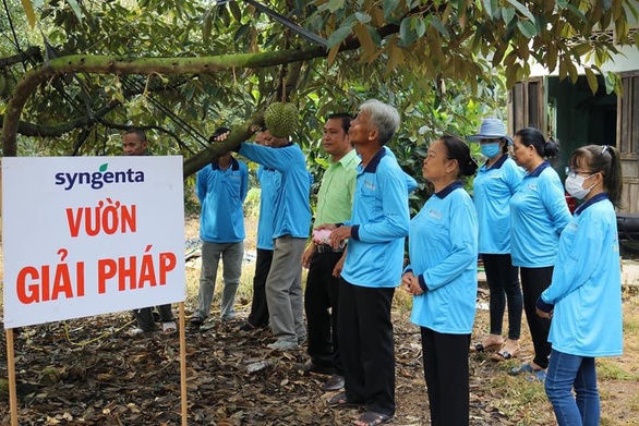 Kết nối vững bền: Nhân rộng các mô hình canh tác hiệu quả - Ảnh 4. Kết nối vững bền: Nhân rộng các mô hình canh tác hiệu quả - Ảnh 4.