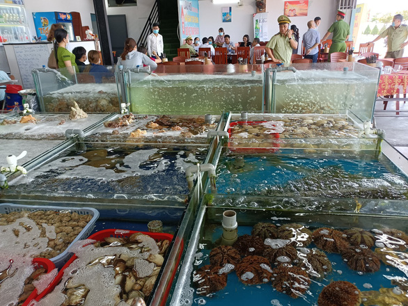 Nhà hàng bán ốc hương 1,8 triệu đồng/kg bị yêu cầu đóng cửa tạm thời - Ảnh 5. Nhà hàng bán ốc hương 1,8 triệu đồng/kg bị yêu cầu đóng cửa tạm thời - Ảnh 5.