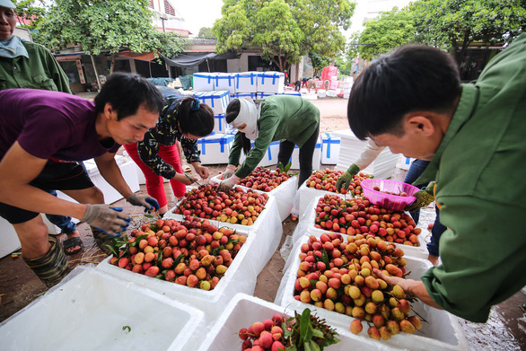Chủ tịch Bắc Giang đề nghị chống ách tắc nông sản - Ảnh 1.