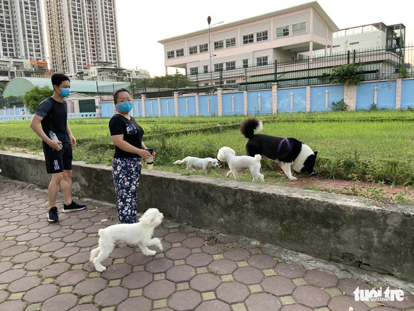 Dân chung cư ở Hà Nội ‘tung tăng’ dắt thú cưng đi dạo, thả diều, tụ tập đá cầu - Ảnh 5.
