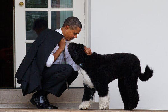 Gia đình Obama vĩnh biệt cún cưng bị ung thư - Ảnh 1.