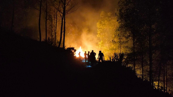 Rừng thông phòng hộ hơn 40 năm tuổi ở Thừa Thiên Huế cháy từ chiều qua tới sáng nay - Ảnh 3.