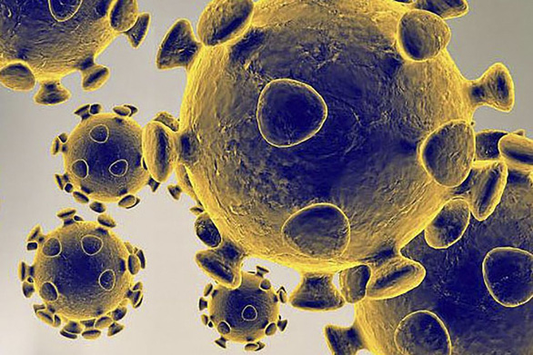 Nghiên cứu mới: Virus corona đã gây đại dịch từ cách đây 20.000 năm - Ảnh 1.