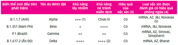 Biến thể Delta - ác mộng tại nhiều nước - Ảnh 3.