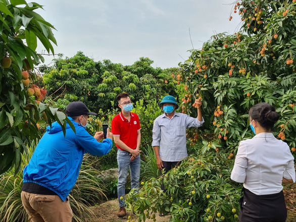 Mục tiêu bán 100 tấn vải thiều Bắc Giang trên Sendo - Ảnh 1.