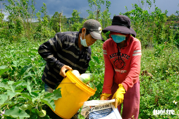 Người dân TP.HCM giúp đỡ chúng tôi nhiều rồi, giờ đến lúc chúng tôi giúp lại - Ảnh 5.