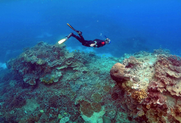 Trung Quốc phủ nhận gây ảnh hưởng đưa rạn san hô Great Barrier vào danh sách nguy cấp - Ảnh 1.
