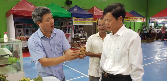 Giấc mơ ngành công nghiệp sâm Ngọc Linh - Ảnh 3. Giấc mơ ngành công nghiệp sâm Ngọc Linh - Ảnh 3.