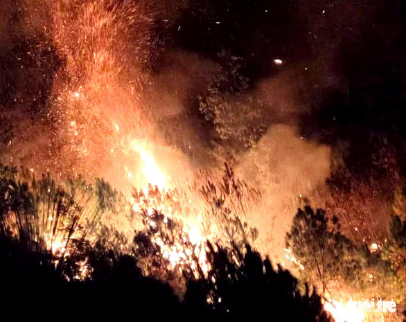 Hà Tĩnh: 400 người được huy động dập vụ cháy rừng thông trong đêm - Ảnh 1.