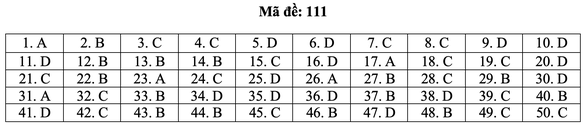 Bài giải môn toán kỳ thi tốt nghiệp THPT năm 2021 - Ảnh 17.