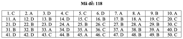 Bài giải môn toán kỳ thi tốt nghiệp THPT năm 2021 - Ảnh 24.