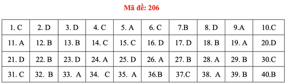 Đề và bài giải môn vật lý thi tốt nghiệp THPT 2021 - Ảnh 11.