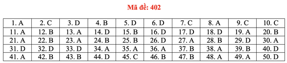 Đề và bài giải môn ngoại ngữ kỳ thi tốt nghiệp THPT 2021 - Ảnh 7.