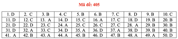 Đề và bài giải môn ngoại ngữ kỳ thi tốt nghiệp THPT 2021 - Ảnh 10.