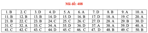 Đề và bài giải môn ngoại ngữ kỳ thi tốt nghiệp THPT 2021 - Ảnh 13.