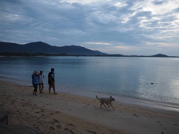 Sau Phuket, Thái Lan tiếp tục mở cửa 3 đảo du lịch tuần tới - Ảnh 1. Sau Phuket, Thái Lan tiếp tục mở cửa 3 đảo du lịch tuần tới - Ảnh 1.