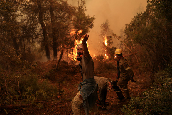 Thủ tướng Hy Lạp xin lỗi vì để cháy rừng như ‘ngày tận thế’ - Ảnh 5.