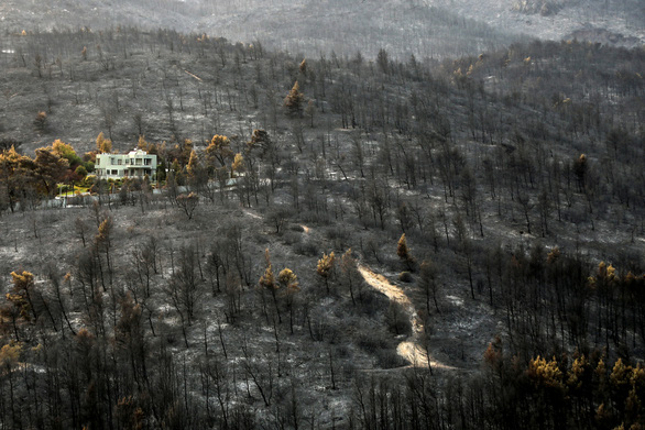 Thủ tướng Hy Lạp xin lỗi vì để cháy rừng như ‘ngày tận thế’ - Ảnh 6.